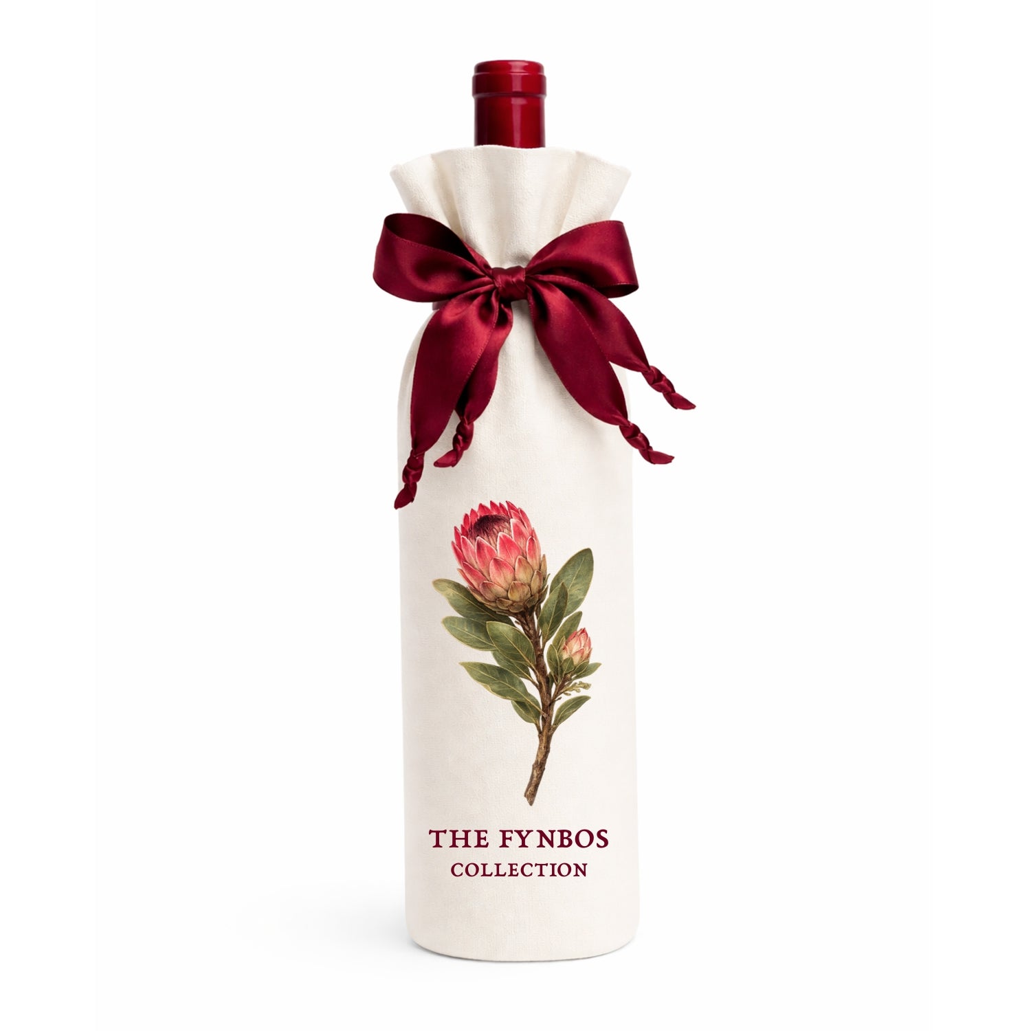 The Fynbos Collection | Pink Ice Protea
